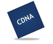 COMMERCES DE DETAIL NON ALIMENTAIRES